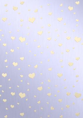 Metallic Romantic Hearts Matching Vellum Kit
