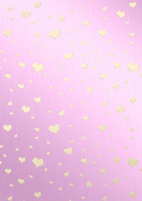 Metallic Romantic Hearts Matching Vellum Kit