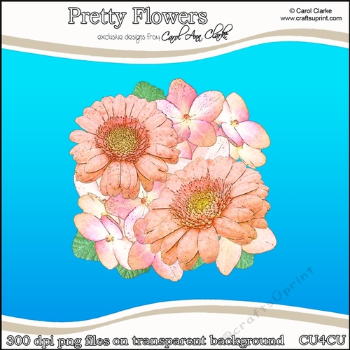 Pretty Flowers - CU4CU Digital Clip Art Set