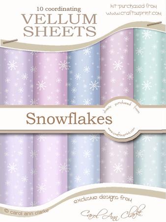 Snowflakes Xmas Snowglobe Matching Vellum Kit
