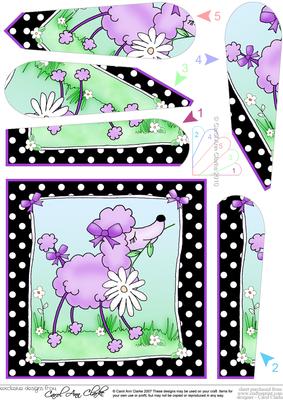 Cute Little Poodle Quick Card with Fan Pyramage Topper
