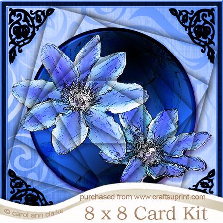 8 x 8 Clematis Kit with Twisted Pyramage