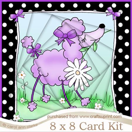 8 x 8 Cute Poodle Twisted Tunnel Card Kitt