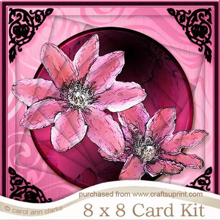 8 x 8 Clematis Twisted Tunnel Card Kit