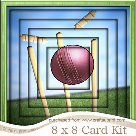 8 x 8 Cricket Tunnel Card Kit