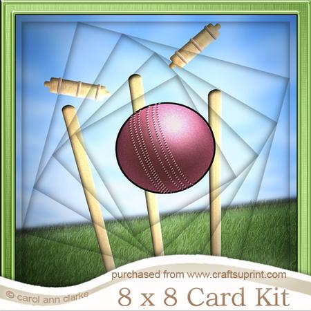 8 x 8 Cricket Twisted Tunnel Card Kit