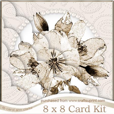 8 x 8 Posy and Pearls Kit with Scalloped Corners
