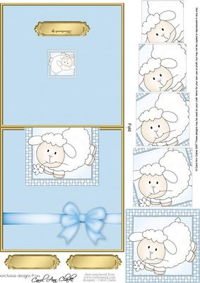 Little Lamb No-hole Over the Edge & Spiral Pyramid