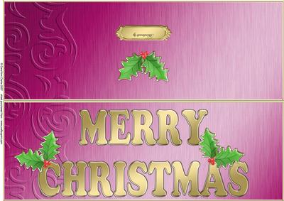 Large Dl Xmas Holly Quick Cut and Fold Card