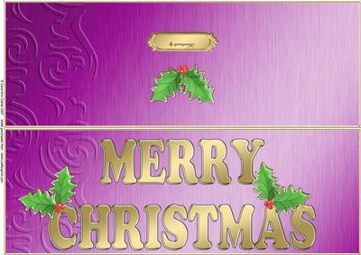Large Dl Xmas Holly Quick Cut and Fold Card