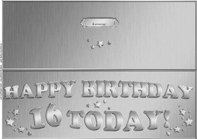 Large Dl 16th Birthday Quick Cut and Fold Card