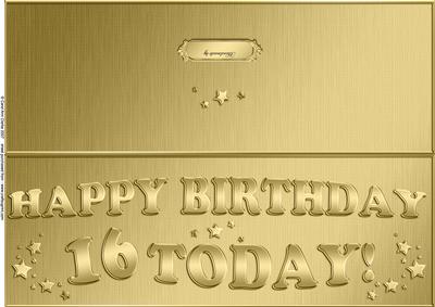 Large Dl 16th Birthday Quick Cut and Fold Card