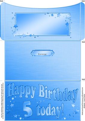 5th Birthday Metallic Age Money or Gift Wallet and Card