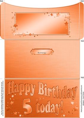 5th Birthday Metallic Age Money or Gift Wallet and Card