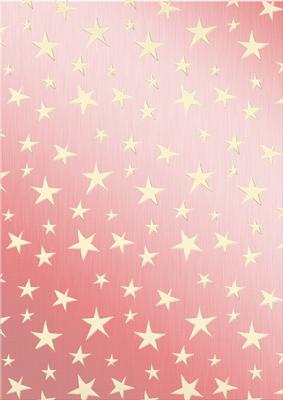 Elegant Christmas Greetings Matching Vellum