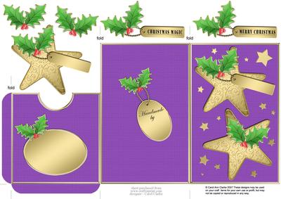 Elegant Christmas Stars Lottery Wallet Card