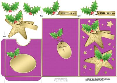 Elegant Christmas Stars Lottery Wallet Card