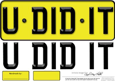 Large Dl You Did It Novelty Number Plate N 3D Decoupage