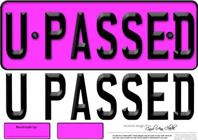 Large Dl You Passed Novelty Number Plate N 3D Decoupage