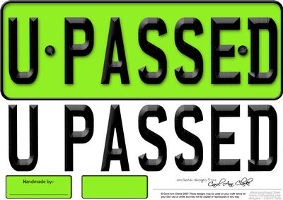 Large Dl You Passed Novelty Number Plate N 3D Decoupage