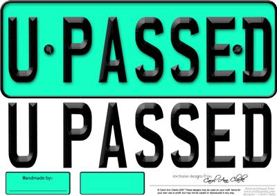 Large Dl You Passed Novelty Number Plate N 3D Decoupage