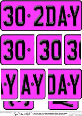 30th Birthday Fun Novelty Number Plate with Side Stacker