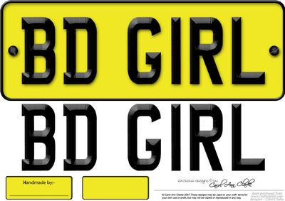 Large Dl Birthday Girl Novelty Number Plate N 3D Decoupage