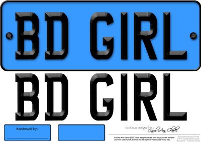 Large Dl Birthday Girl Novelty Number Plate N 3D Decoupage