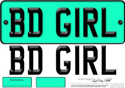 Large Dl Birthday Girl Novelty Number Plate N 3D Decoupage