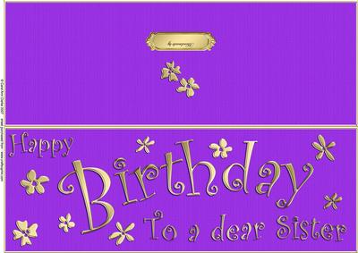 Large Dl Birthday Sister Quick Cut and Fold Card