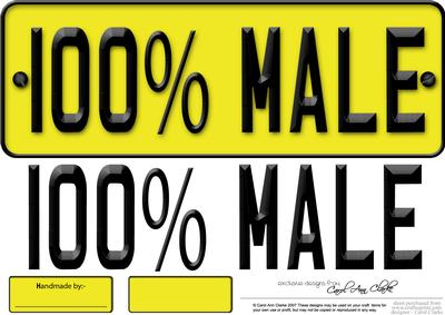 Large Dl 100% Male Novelty Number Plate N 3D Decoupage