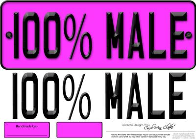Large Dl 100% Male Novelty Number Plate N 3D Decoupage