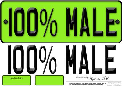 Large Dl 100% Male Novelty Number Plate N 3D Decoupage