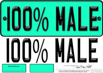 Large Dl 100% Male Novelty Number Plate N 3D Decoupage