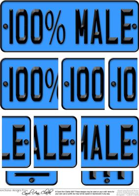 100% Male Novelty Number Plate with Side Stacker
