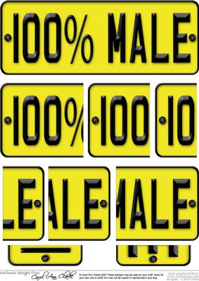100% Male Novelty Number Plate with Side Stacker