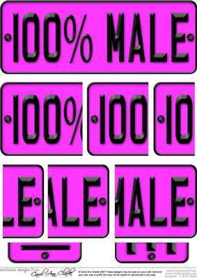 100% Male Novelty Number Plate with Side Stacker