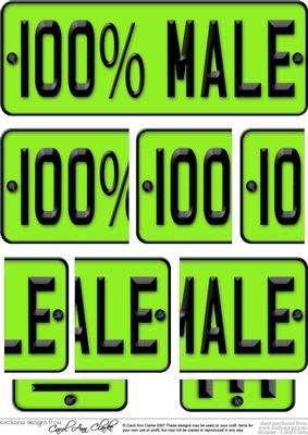 100% Male Novelty Number Plate with Side Stacker