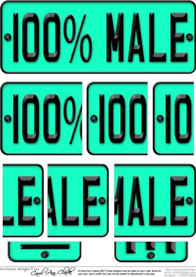 100% Male Novelty Number Plate with Side Stacker