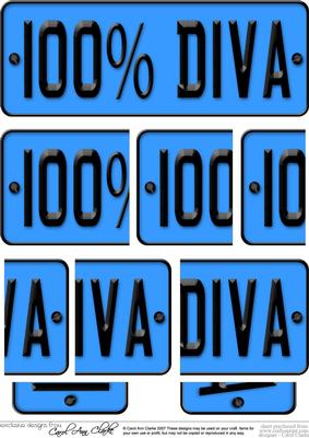 100% Diva Novelty Number Plate with Side Stacker