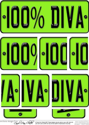 100% Diva Novelty Number Plate with Side Stacker