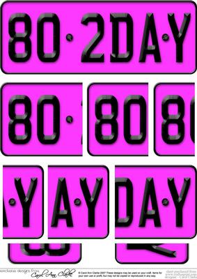 80th Birthday Fun Novelty Number Plate with Side Stacker Top
