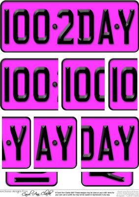 100th Birthday Fun Novelty Number Plate with Side Stacker