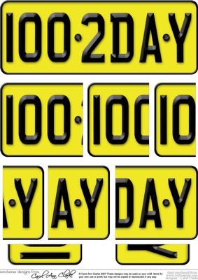 100th Birthday Fun Novelty Number Plate with Side Stacker