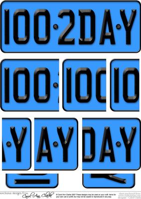 100th Birthday Fun Novelty Number Plate with Side Stacker