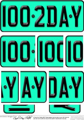 100th Birthday Fun Novelty Number Plate with Side Stacker