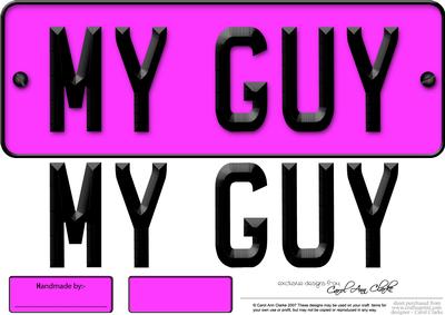 Large Dl My Guy Novelty Number Plate N 3D Decoupage