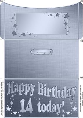 14th Birthday Metallic Age Money or Gift Wallet and Card