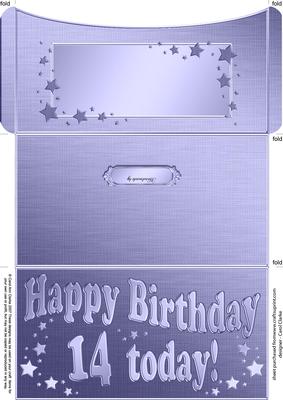 14th Birthday Metallic Age Money or Gift Wallet and Card