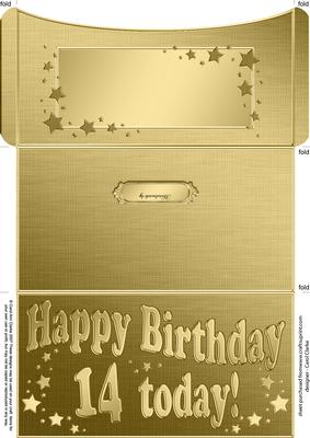14th Birthday Metallic Age Money or Gift Wallet and Card